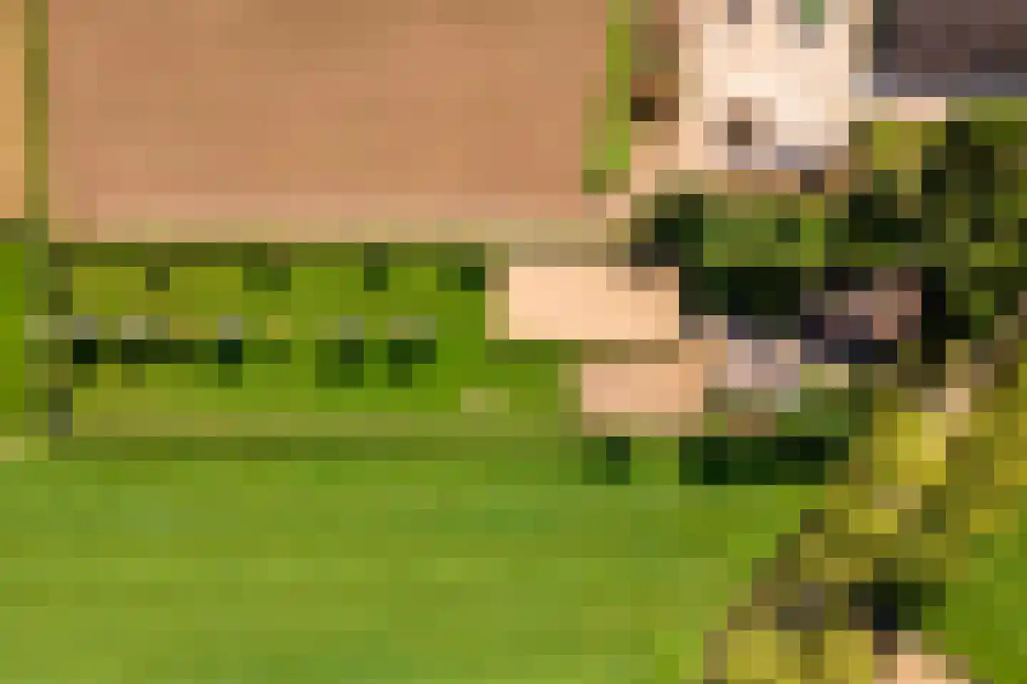 De Steeg 3 Ingen thumbnail 82
