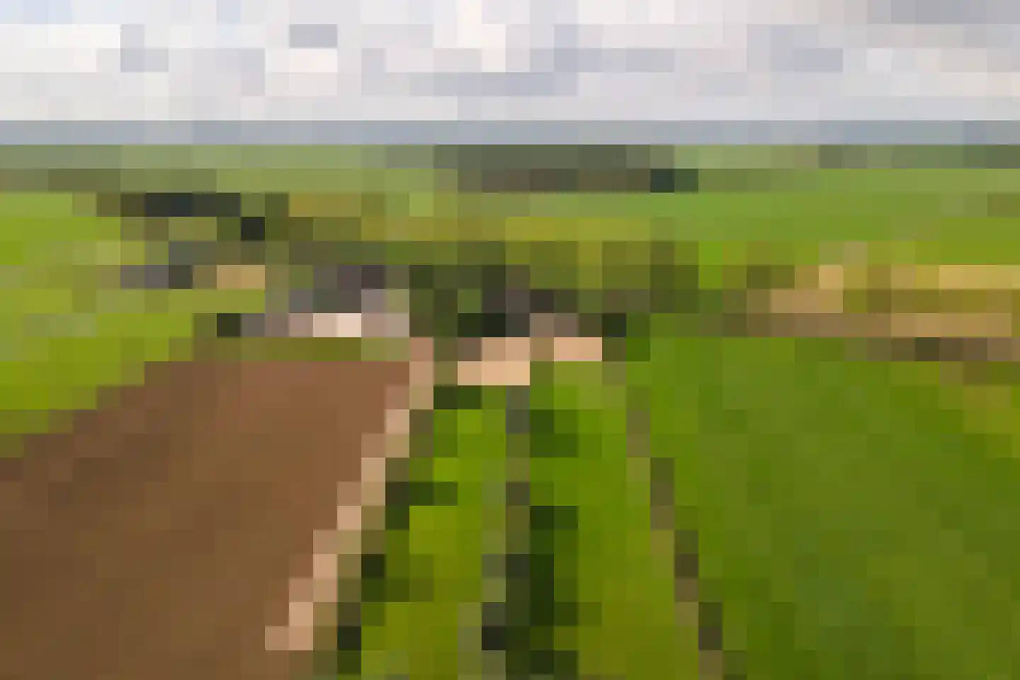 De Steeg 3 Ingen thumbnail 84