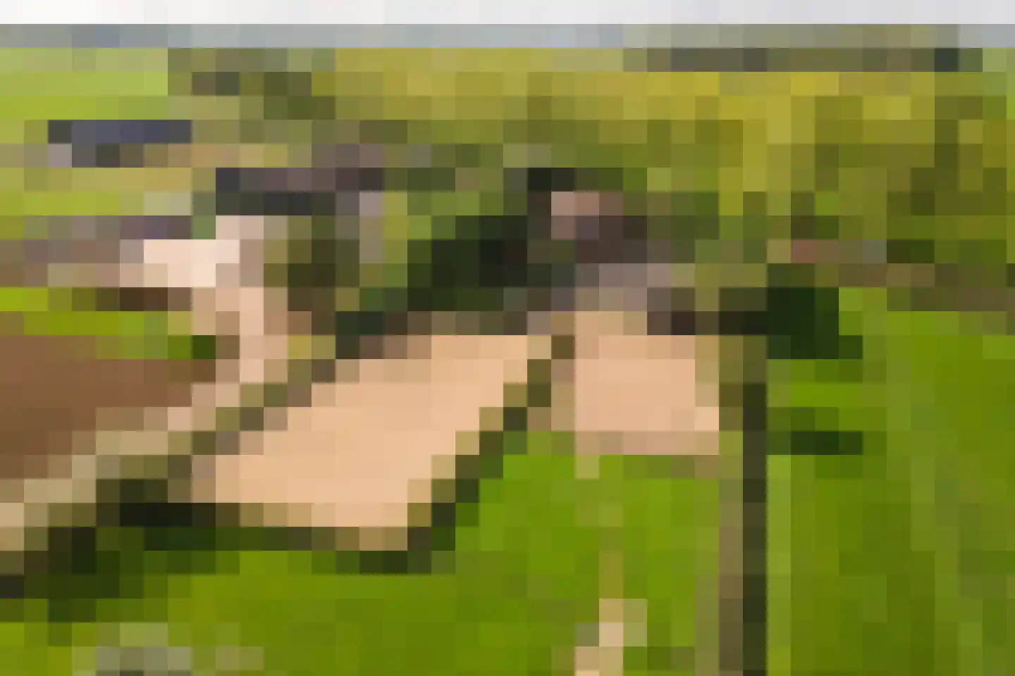 De Steeg 3 Ingen thumbnail 85