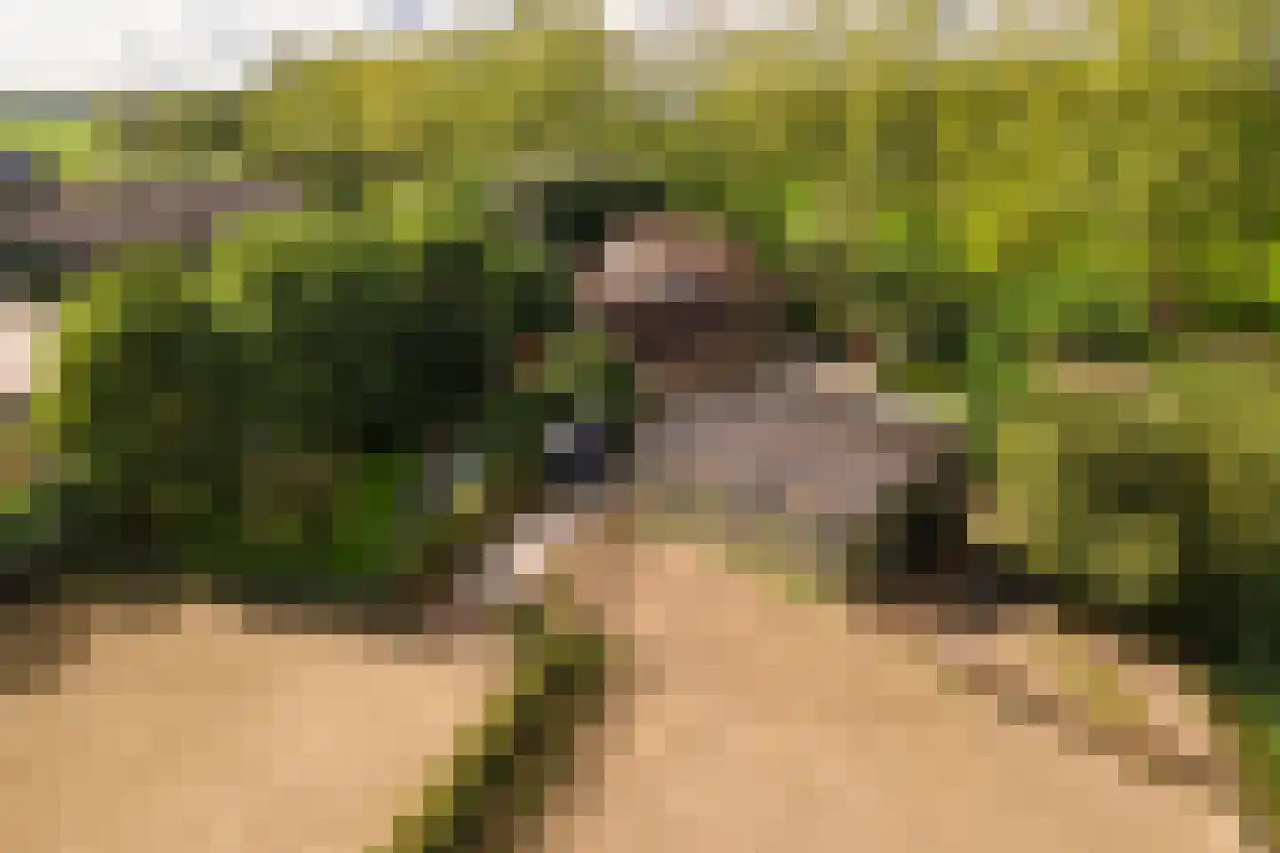 De Steeg 3 Ingen thumbnail 86