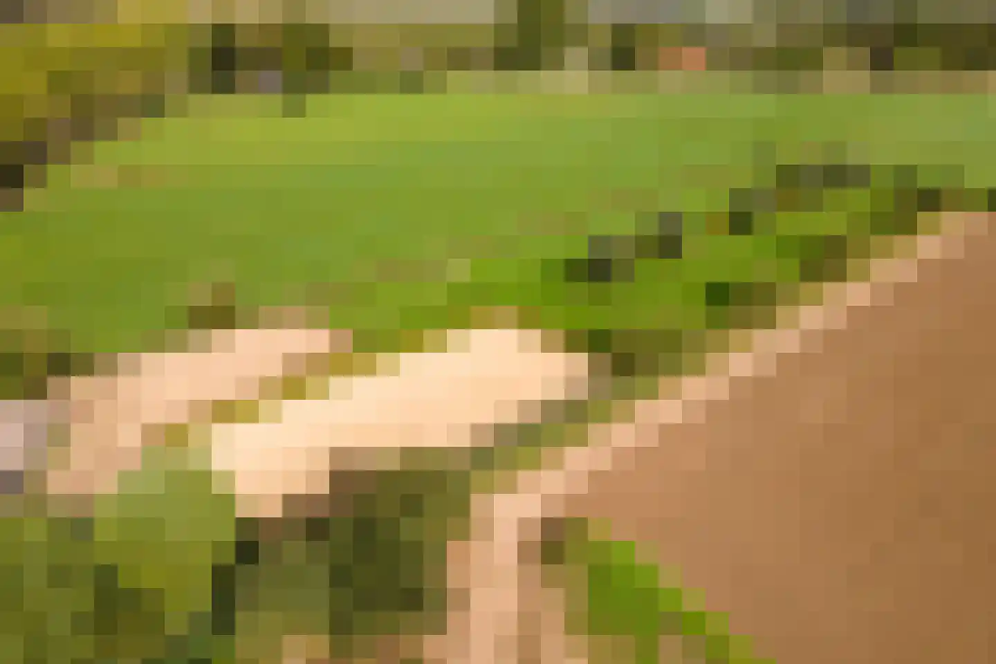 De Steeg 3 Ingen thumbnail 87