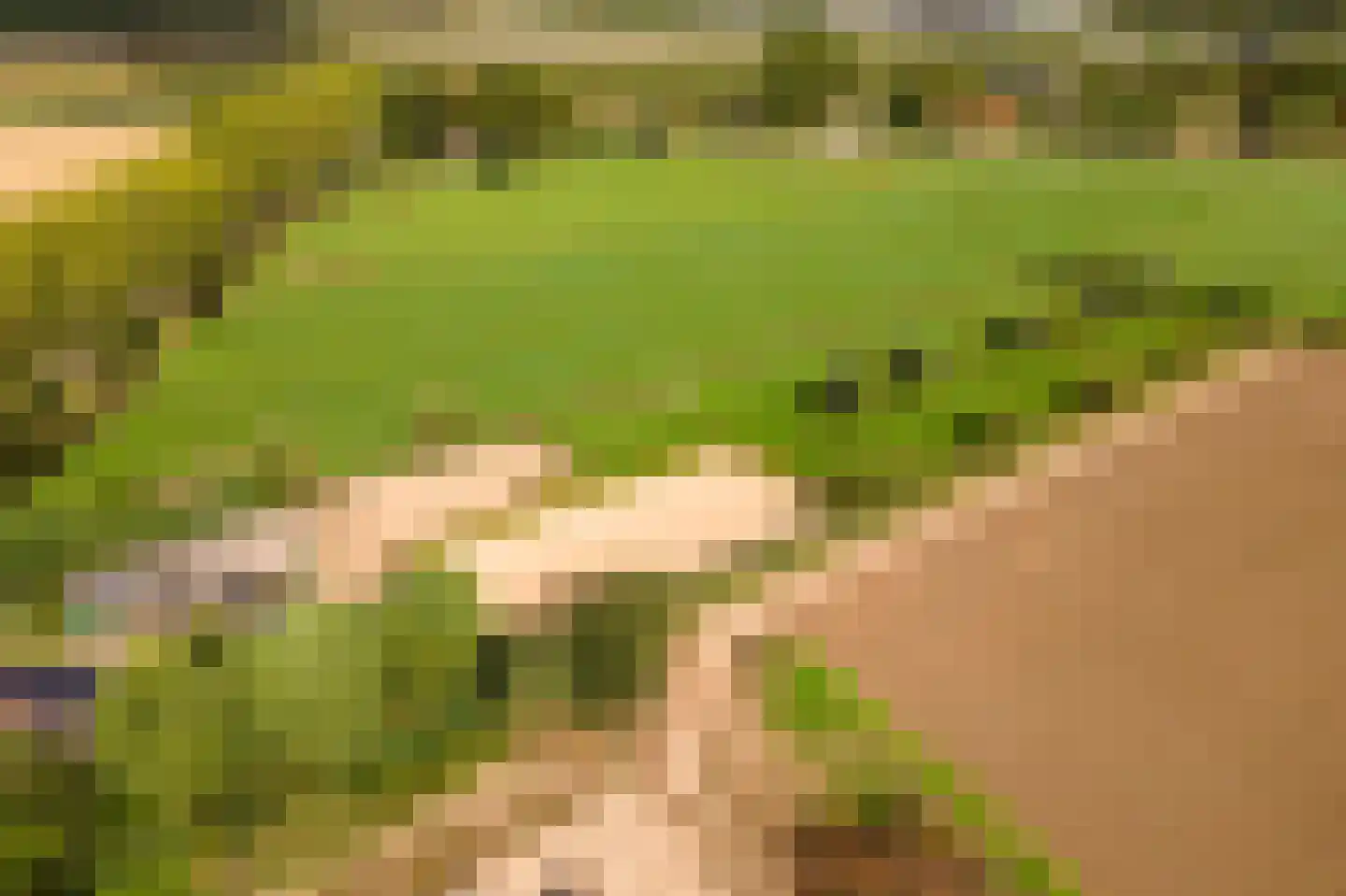 De Steeg 3 Ingen thumbnail 88