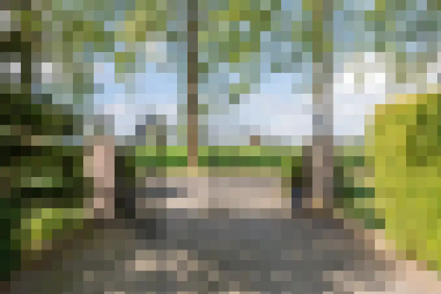 De Steeg 3 Ingen thumbnail 9