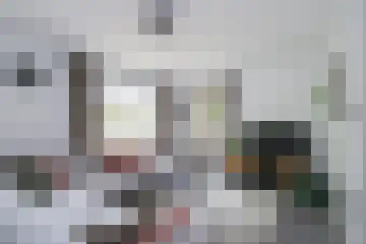 de Steege 22 Zieuwent thumbnail 11