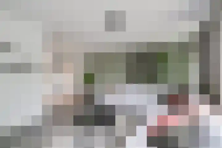 de Steege 22 Zieuwent thumbnail 13