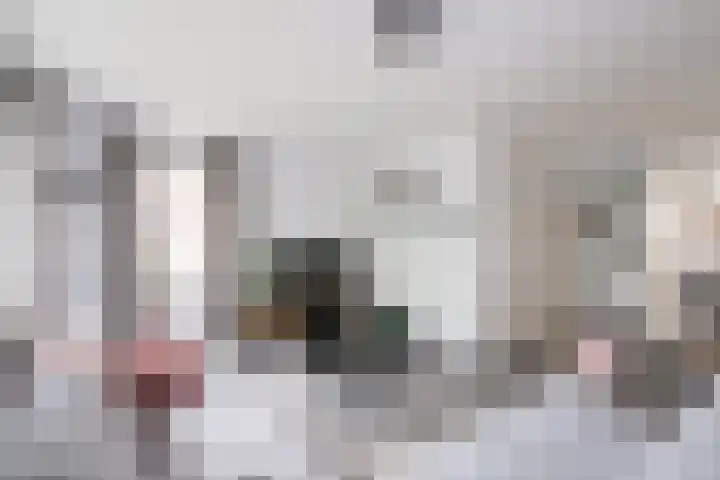 de Steege 22 Zieuwent thumbnail 14