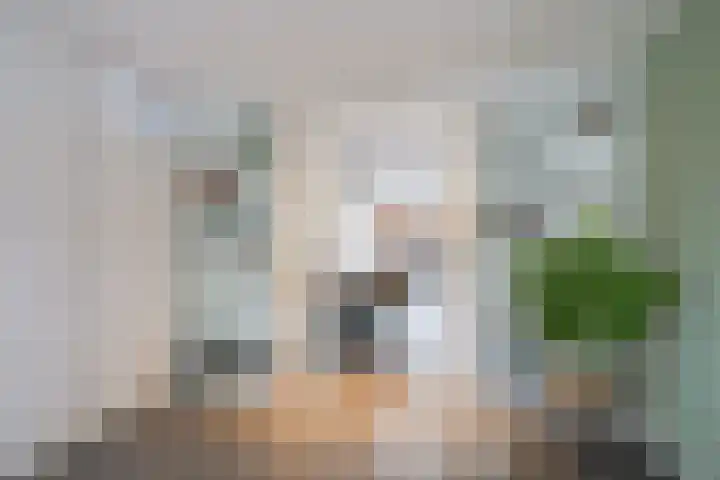 de Steege 22 Zieuwent thumbnail 15