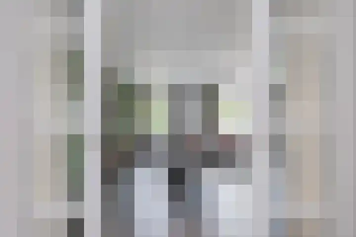 de Steege 22 Zieuwent thumbnail 16