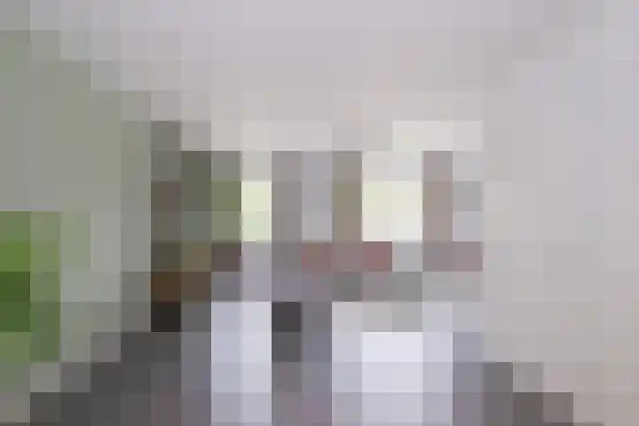 de Steege 22 Zieuwent thumbnail 17