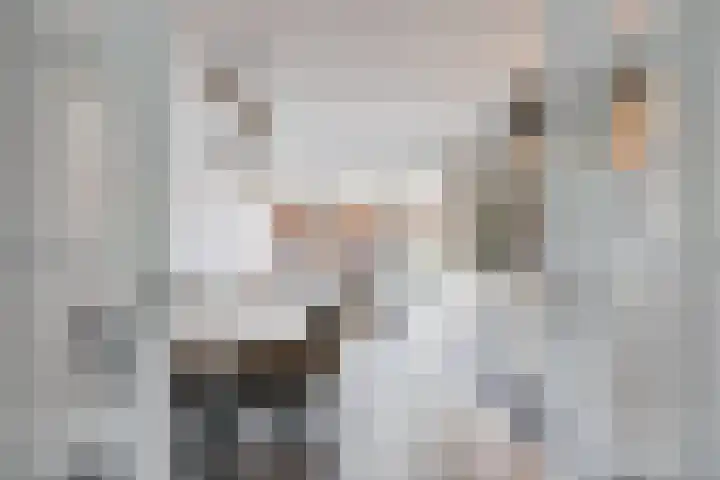 de Steege 22 Zieuwent thumbnail 18
