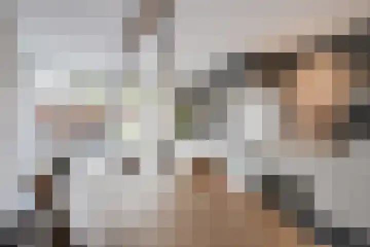 de Steege 22 Zieuwent thumbnail 19