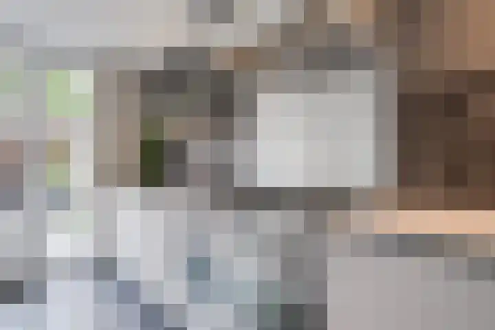 de Steege 22 Zieuwent thumbnail 20