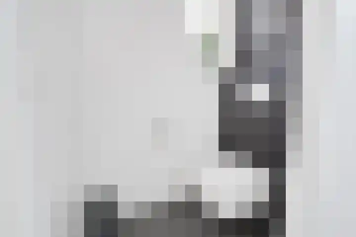 de Steege 22 Zieuwent thumbnail 28