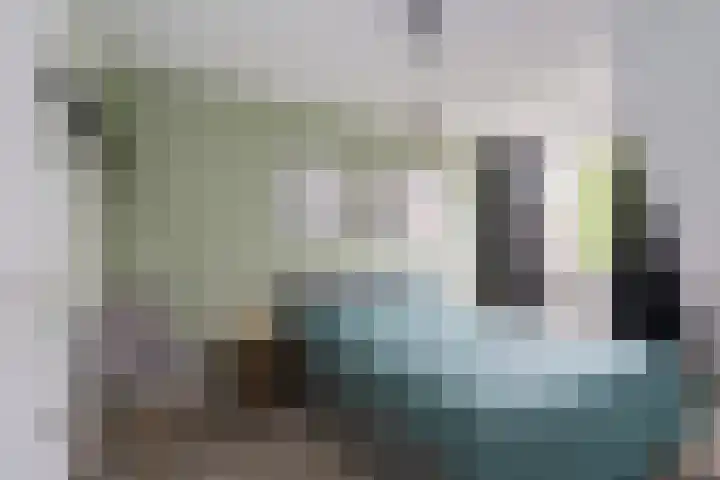 de Steege 22 Zieuwent thumbnail 29