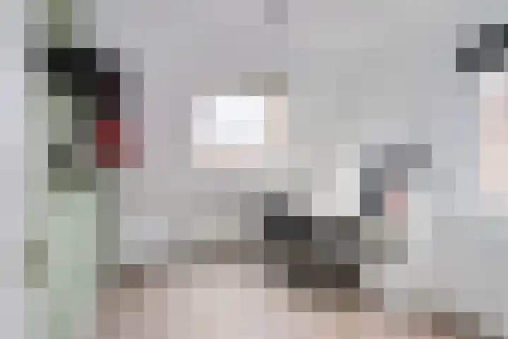 de Steege 22 Zieuwent thumbnail 31