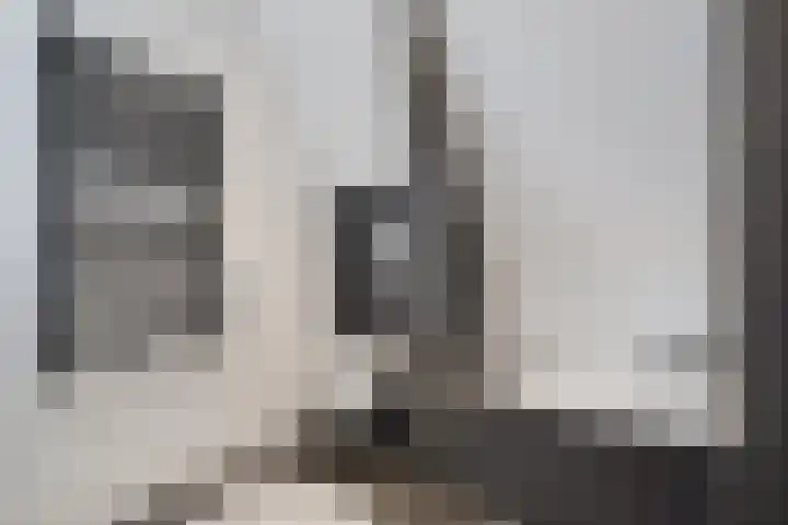 de Steege 22 Zieuwent thumbnail 36