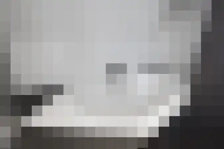 de Steege 22 Zieuwent thumbnail 38