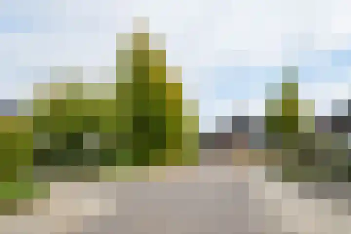 de Steege 22 Zieuwent thumbnail 4