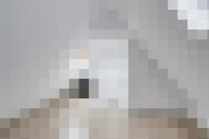 de Steege 22 Zieuwent thumbnail 41
