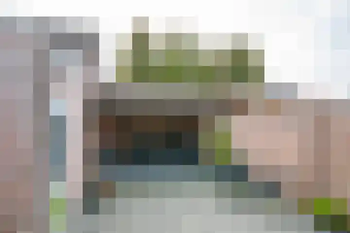 de Steege 22 Zieuwent thumbnail 45
