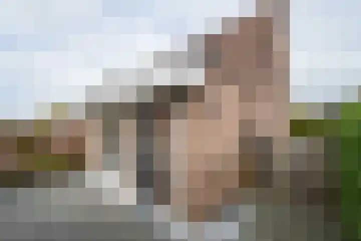 de Steege 22 Zieuwent thumbnail 54
