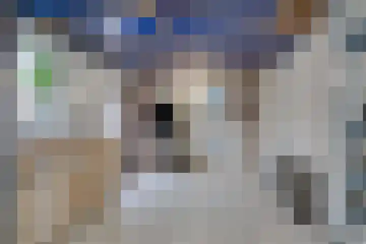 de Steege 22 Zieuwent thumbnail 56