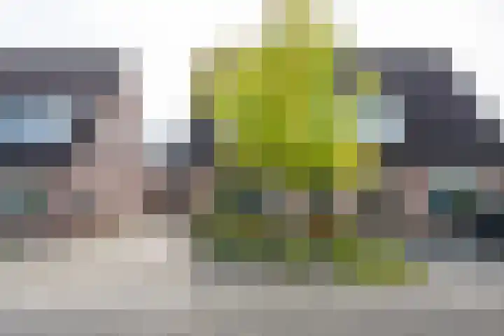 de Steege 22 Zieuwent thumbnail 6