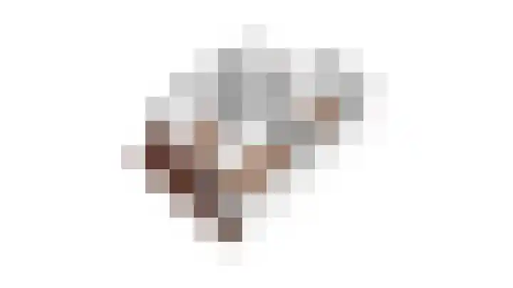 de Steege 22 Zieuwent thumbnail 62