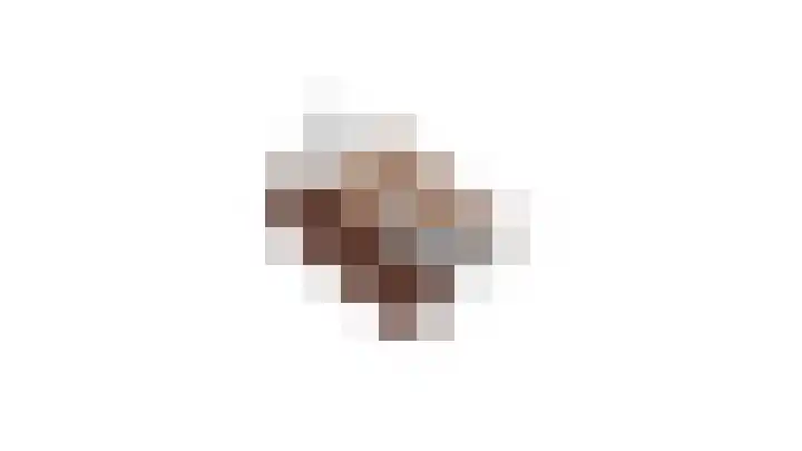 de Steege 22 Zieuwent thumbnail 64