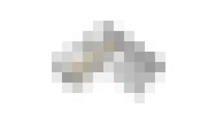de Steege 22 Zieuwent thumbnail 68