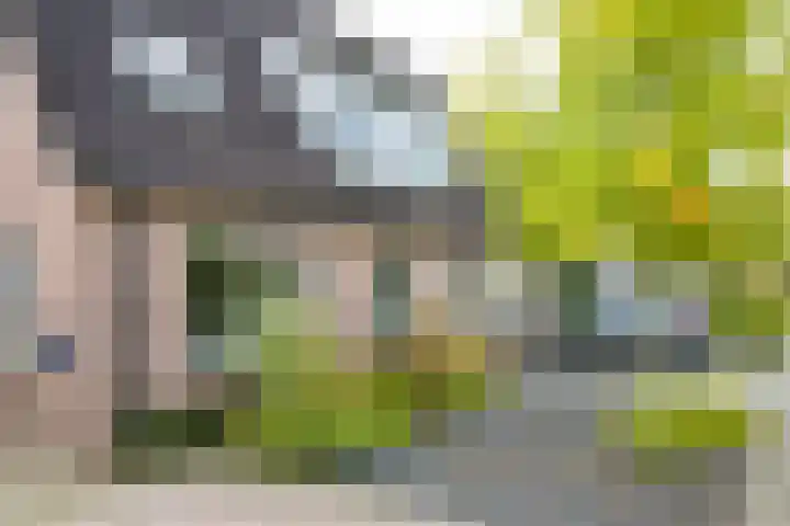 de Steege 22 Zieuwent thumbnail 7