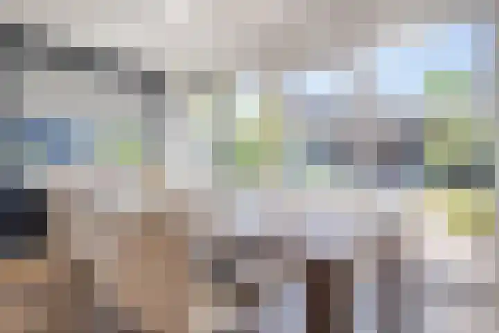 de Steege 39 Zieuwent thumbnail 11