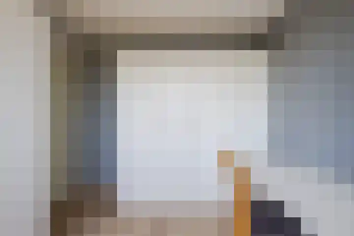 de Steege 39 Zieuwent thumbnail 20