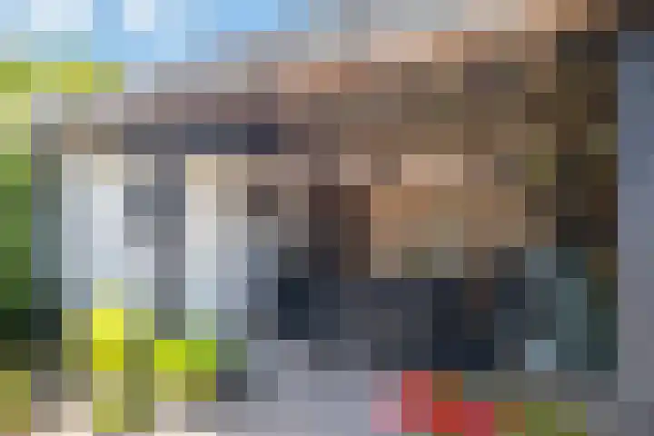 de Steege 39 Zieuwent thumbnail 33