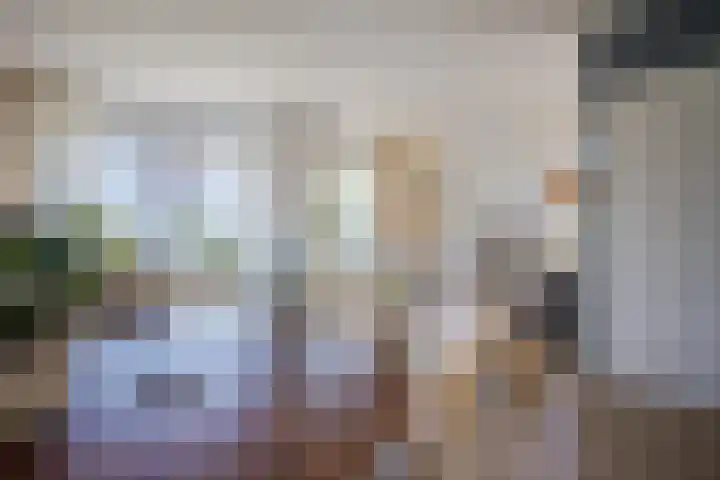 de Steege 39 Zieuwent thumbnail 5