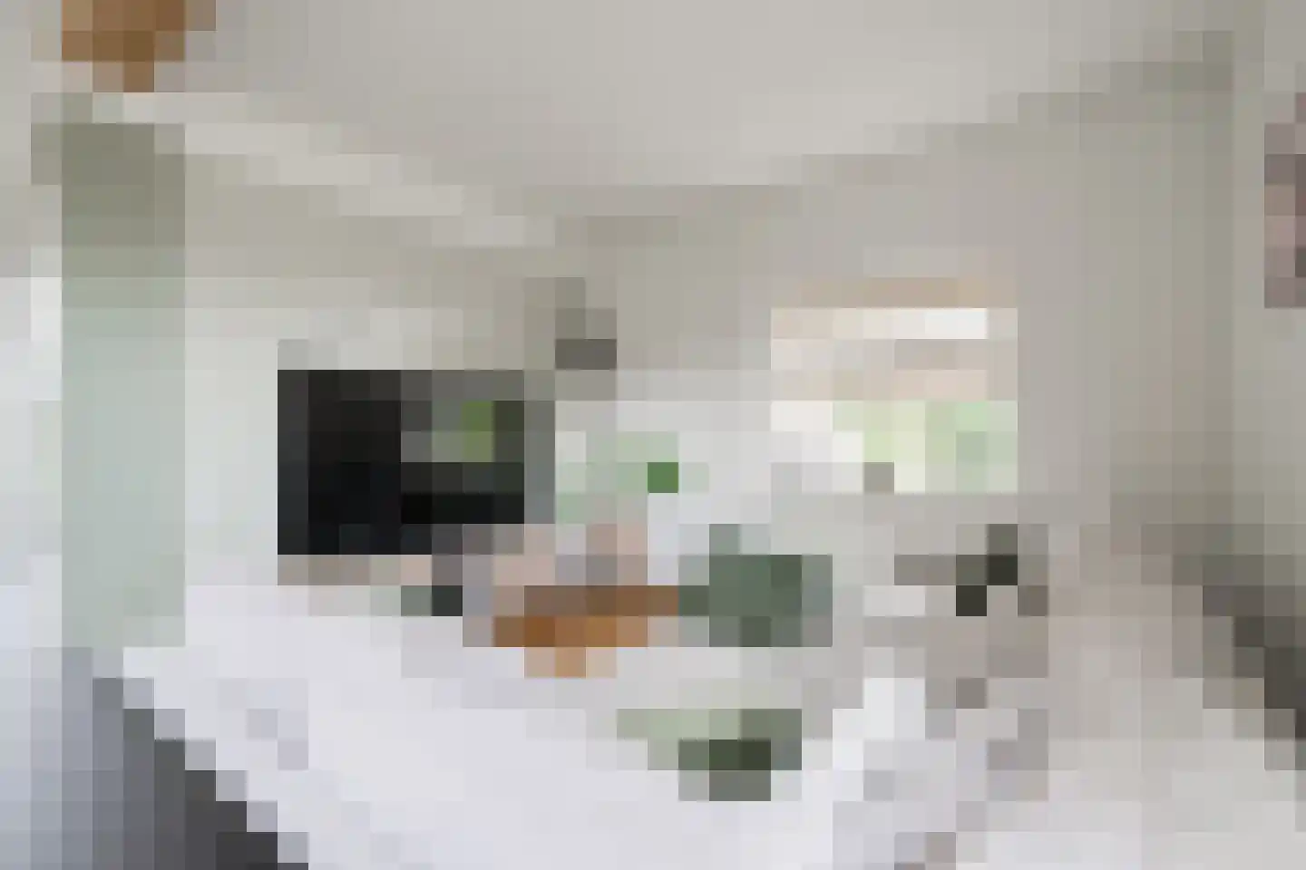 de Steege 43 Vorden thumbnail 12