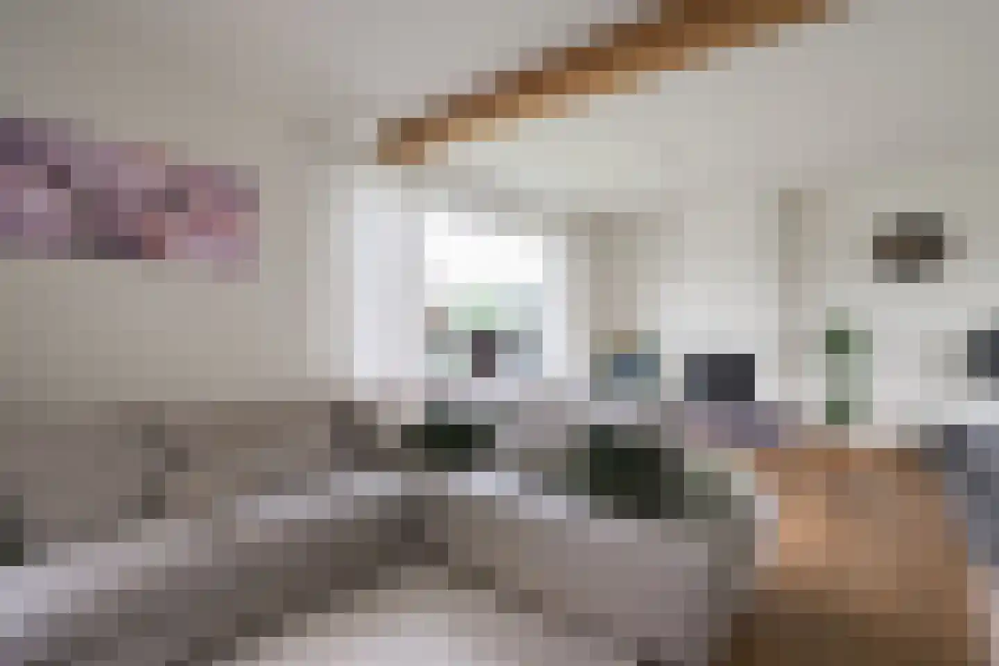 de Steege 43 Vorden thumbnail 13