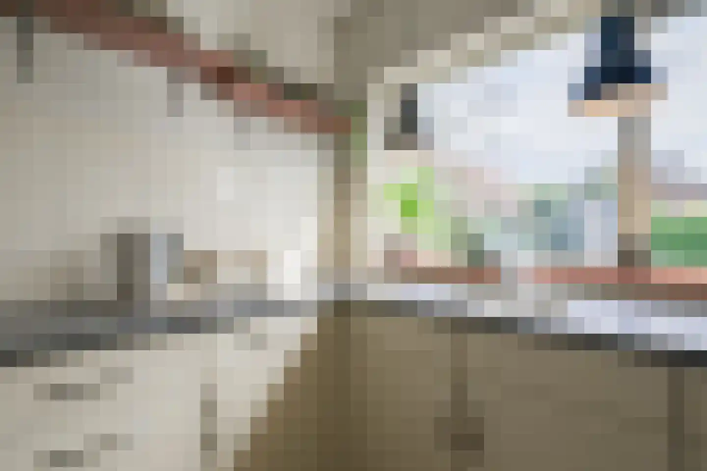 de Steege 43 Vorden thumbnail 19