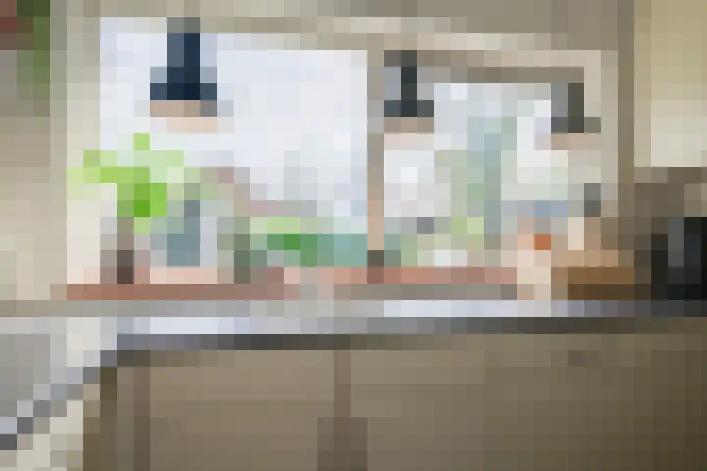 de Steege 43 Vorden thumbnail 20