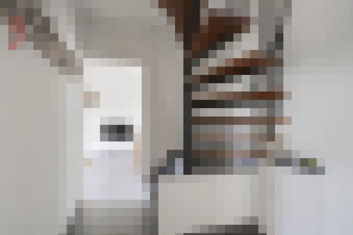 de Steege 43 Vorden thumbnail 26