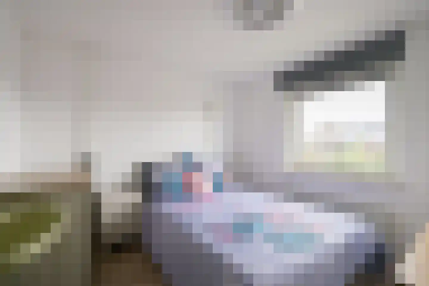 de Steege 43 Vorden thumbnail 31