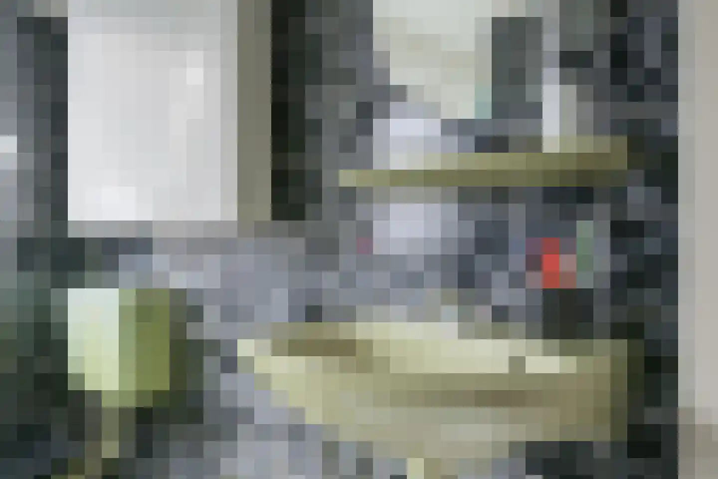 de Steege 43 Vorden thumbnail 36