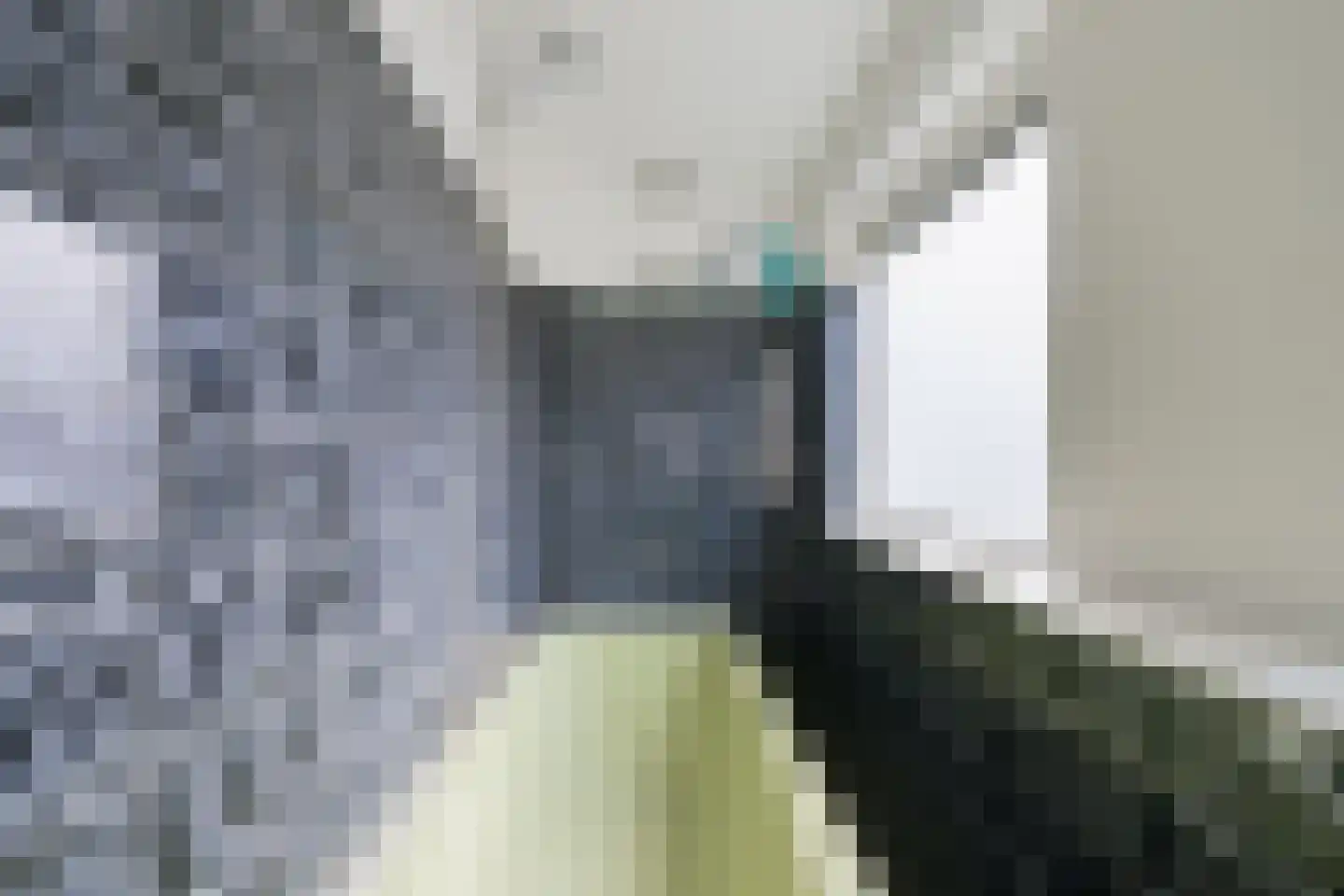 de Steege 43 Vorden thumbnail 38