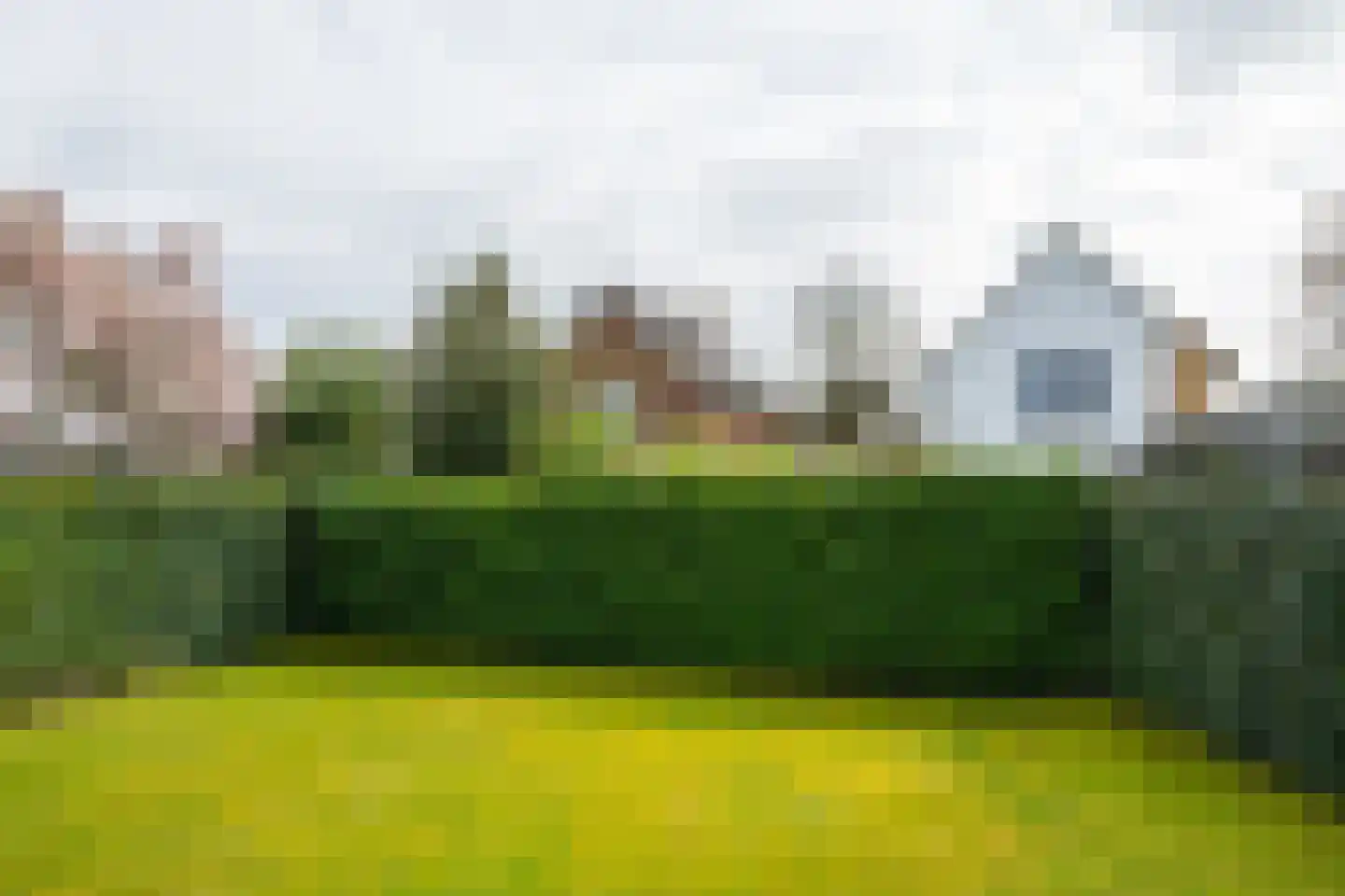 de Steege 43 Vorden thumbnail 44