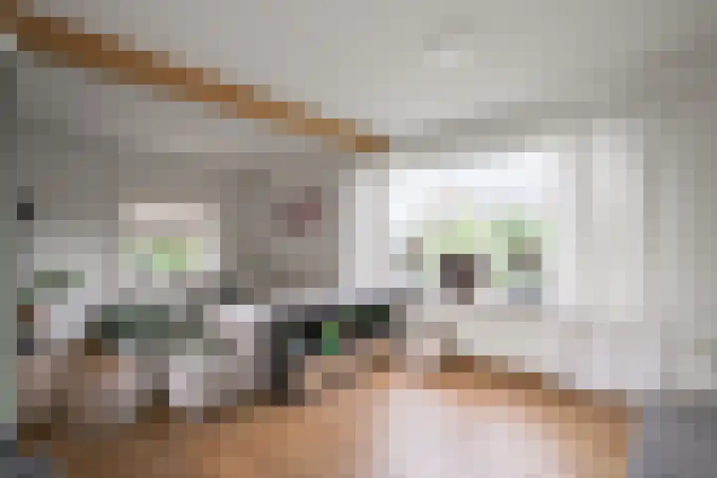 de Steege 43 Vorden thumbnail 9