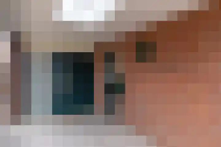 de Steege 59 Zieuwent thumbnail 36