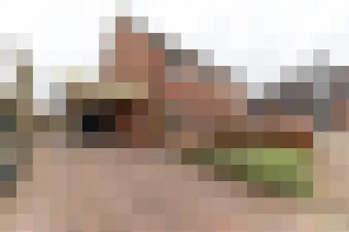 de Steege 59 Zieuwent thumbnail 39