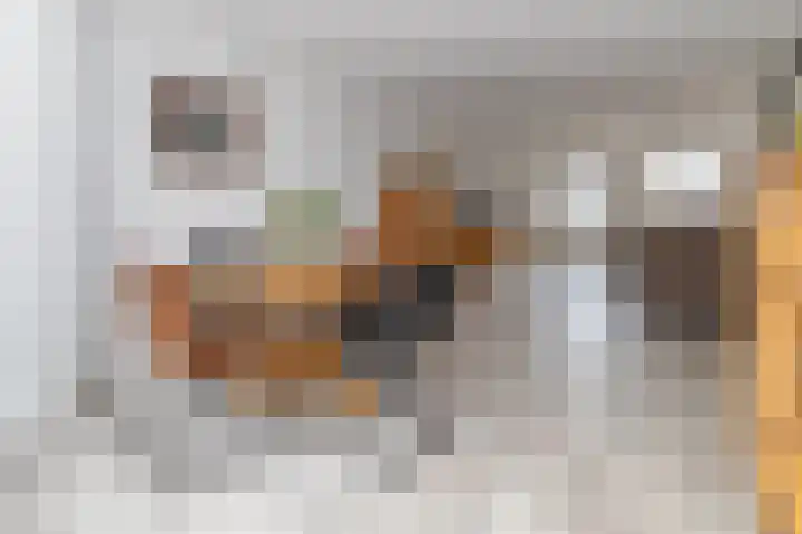 de Steege 59 Zieuwent thumbnail 4