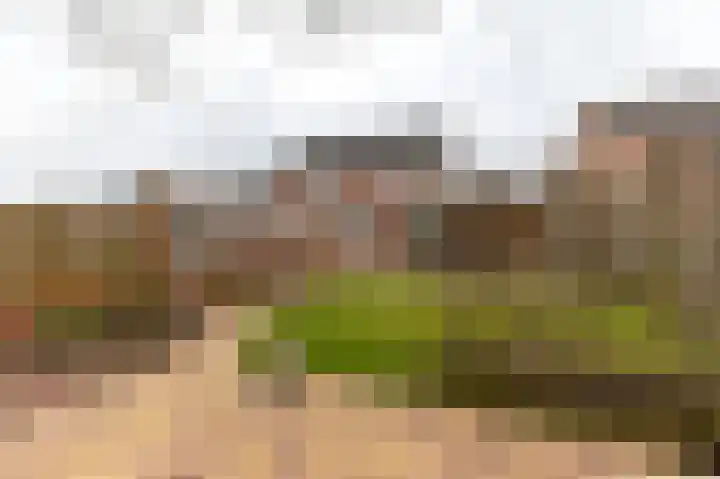 de Steege 59 Zieuwent thumbnail 48