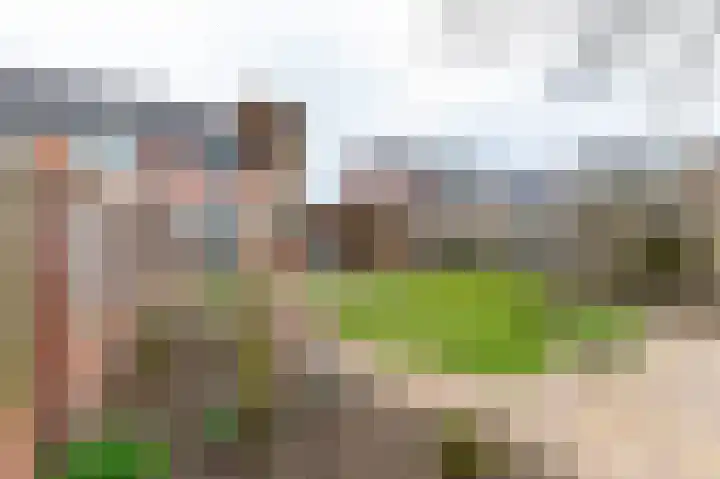 de Steege 59 Zieuwent thumbnail 49
